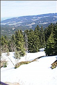 ID: 209: Lam / 26.04.2012