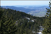 ID: 209: Lam / 26.04.2012