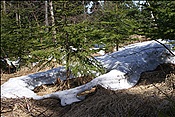 ID: 209: Lam / 26.04.2012