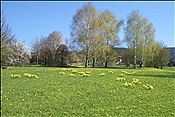 ID: 209: Lam / 27.04.2012