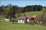 ID: 209: Lam / 27.04.2012