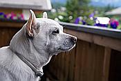 ID: 209: Festumzug / Kruen / 15.07.2012