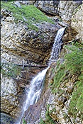 ID: 209: Staubfall / Unken / 09.09.2012