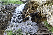 ID: 209: Staubfall / Unken / 09.09.2012