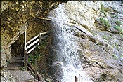 ID: 209: Staubfall / Unken / 09.09.2012