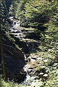 ID: 209: Fischbachtal / Unken / 09.09.2012