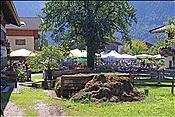 ID: 209: Bauernfest / Scheffsnoth / 09.09.2012
