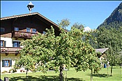 ID: 209: Bauernfest / Scheffsnoth / 09.09.2012