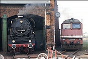 Foto SP_2012_09606: DR 44 1486-8 und DR 120 366-0 / Stassfurt / 28.09.2012