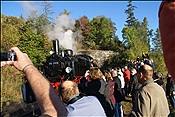 ID: 209: DR 99 5901 / Wernigerode - Drei-Annen-Hohne / 30.09.2012