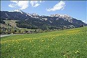 Foto SP_2013_05314: Ausblick / Ehrwald / 03.05.2013