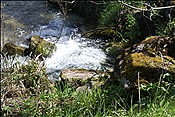 ID: 209: Isar-Natur-Erlebnisweg / Kruen / 03.05.2013