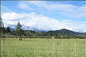 ID: 209: Barmsee und Grubsee / Kruen / 06.05.2013