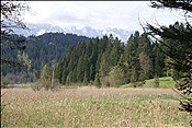 ID: 209: Barmsee und Grubsee / Kruen / 06.05.2013