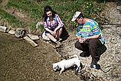 Foto SP_2013_05463: Barmsee und Grubsee / Kruen / 06.05.2013