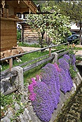 ID: 209: Gries / Mittenwald / 06.05.2013