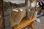 ID: 209: Zentrum / Mittenwald / 06.05.2013