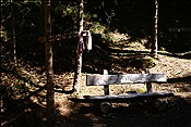 Foto SP_2013_05531: Wanderung / Tann / 08.05.2013