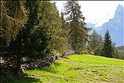 Foto SP_2013_05540: Wanderung / Bad Siess / 08.05.2013