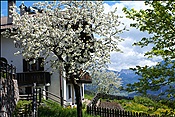 ID: 209: Wanderung / Maria Saal / 08.05.2013