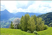 ID: 209: Wanderung / Maria Saal / 08.05.2013