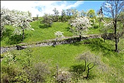 ID: 209: Wanderung / Klobenstein / 08.05.2013