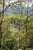 ID: 209: Wanderung / Klobenstein / 08.05.2013