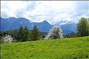 Foto SP_2013_05567: Wanderung / Klobenstein / 08.05.2013