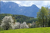 Foto SP_2013_05568: Wanderung / Klobenstein / 08.05.2013