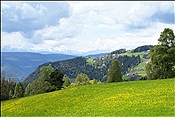 Foto SP_2013_05572: Wanderung / Oberinn / 08.05.2013