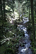 ID: 209: Wanderung / Oberinn / 12.05.2013