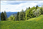 ID: 209: Wanderung / Oberinn / 12.05.2013