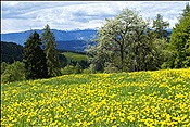 ID: 209: Wanderung / Oberinn / 12.05.2013