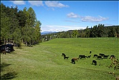 ID: 209: Kaserhof / Oberbozen / 13.05.2013