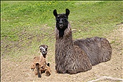 ID: 209: Kaserhof / Oberbozen / 13.05.2013
