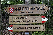 ID: 209: Wanderung / Oberbozen / 13.05.2013