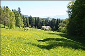 ID: 209: Wanderung / Klobenstein - Wolfsgruben / 14.05.2013