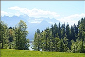 ID: 209: Wanderung / Klobenstein - Wolfsgruben / 14.05.2013