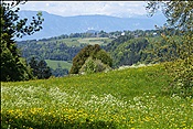 ID: 209: Wanderung / Klobenstein / 14.05.2013