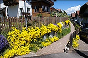 ID: 209: Wanderung / Klobenstein / 14.05.2013