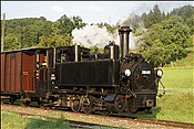 ID: 209: OeBB 298.102 / Sommerhubermuehle / 13.07.2013