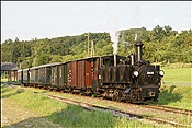 ID: 209: OeBB 298.102 / Sommerhubermuehle / 13.07.2013
