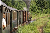 ID: 209: OeBB 298.102 / Sommerhubermuehle - Gruenburg / 13.07.2013