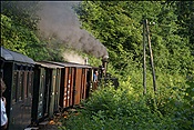 ID: 209: OeBB 298.102 / Sommerhubermuehle - Gruenburg / 13.07.2013