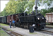 ID: 209: OeBB 298.102 / Gruenburg / 13.07.2013