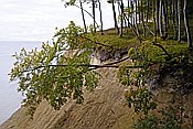 ID: 209: Kreidekueste / Ruegen / 24.09.2013