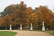 Foto SP_2013_10531: Park Sanssouci / Potdsdam / 11.10.2013