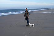 ID: 209: Strand / Nieuw Haamstede / 26.10.2013