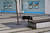 ID: 209: Liberec / 09.11.2013