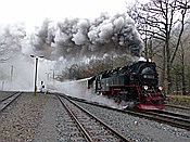 ID: 209: DR 99 7245-6 / Eisfelder Talmuehle / 19.01.2014